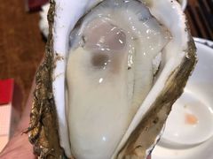 -四季美蚝皇