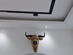 -黄牛肉馆·皖南土菜