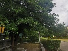 -桂林独秀峰王城景区