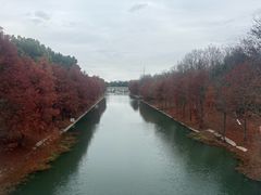 -上海海湾国家森林公园