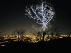 -鬼笑石后山停车场