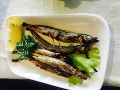 -禅猫日本料理
