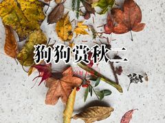 -山王坪喀斯特国家生态公园