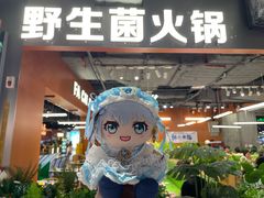 -菌小白·野生菌火锅(时尚天河店)