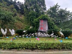 -广州白江湖森林公园