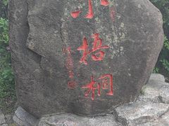 -梧桐山风景名胜区