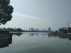 -大耳象东南亚风情餐厅(月湖公园店)
