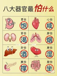 点击看大图 -香薇妮丝女子减肥院