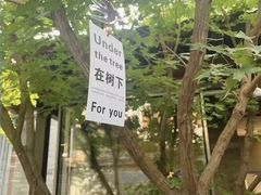 -VOYAGE COFFEE(杨梅竹店)