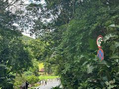 -深圳仙湖植物园