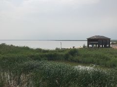 -敕勒川草原