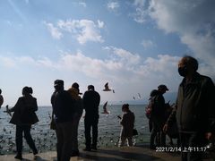 -滇池海埂公园