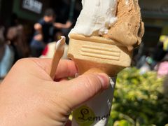 -柠檬车露(卖草地店)