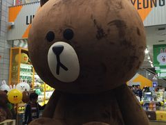 -line friends(明洞旗舰店)