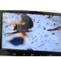 -蕾特恩专业祛痘国际连锁