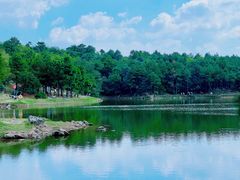 -南京市无想山景区