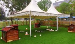 -萌宠亲子动物乐园(槐房万达店)