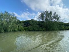 -东寨港红树林旅游区