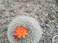-南山植物园