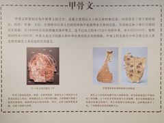 -安阳博物馆
