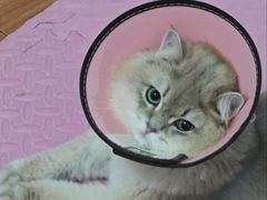-联合动物医院(光谷诊疗中心)