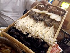 -老诚一锅·羊蝎子(广渠门外店)