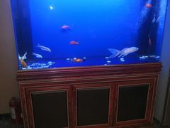-知足堂养生会所(碑亭巷店)