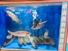 -深圳香格里拉酒店