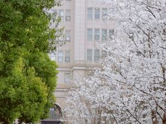 -包玉刚游泳场(黄龙恒励大厦店)