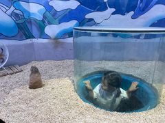 -海合安青岛极地海洋公园