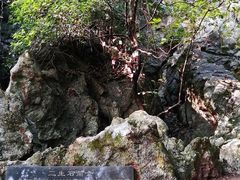 -杭州西湖风景名胜区-三生石