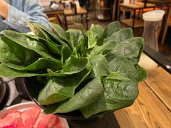 菠菜-煲宫(华润万象城店)