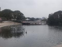 -新江湾城公园