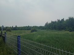 -西青郊野公园