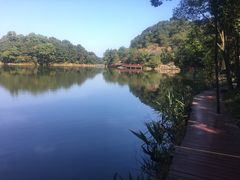 -广州市石门国家森林公园