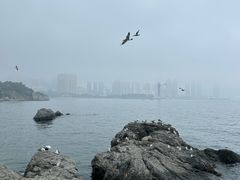 -黑石礁公园