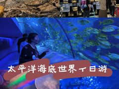 -太平洋海底世界