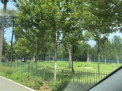 -秦皇岛野生动物园