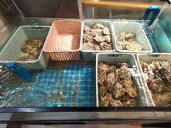 -帽帽家只卖生蚝·烧烤(沙湖路店)