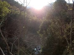 -太湖源风景区