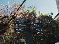 -小洲村