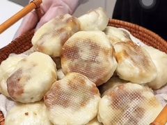 -东莞植物园