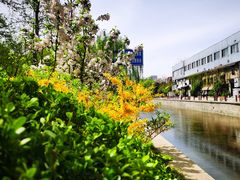 -元大都城垣遗址公园