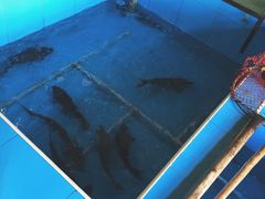 -金明姬铁锅炖(东坝店)