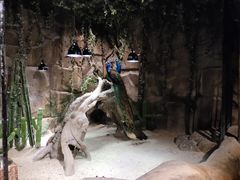 -zoonana室内动物园(东方福来德店)