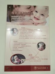 -复旦大学附属妇产科医院(杨浦院区)