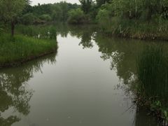 -梁鸿国家湿地公园