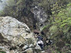 -九峰山