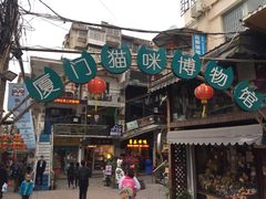 -猫咪博物馆(顶澳仔猫街店)