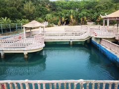 -广东惠东海龟国家级自然保护区